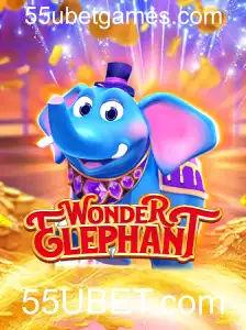 WonderElephant: Explorando o Novo Jogo Inovador Disponível na 55UBET.com